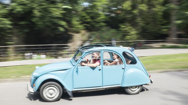 2cv