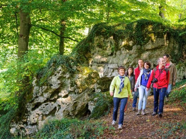 Randonnée En Forêt De Saint Gobain