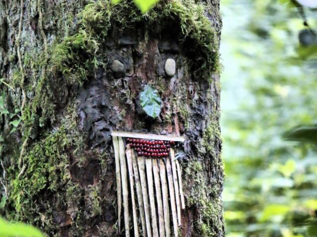 Land Art tronc d'arbre