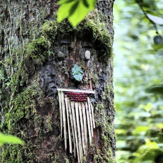 Land Art tronc d'arbre