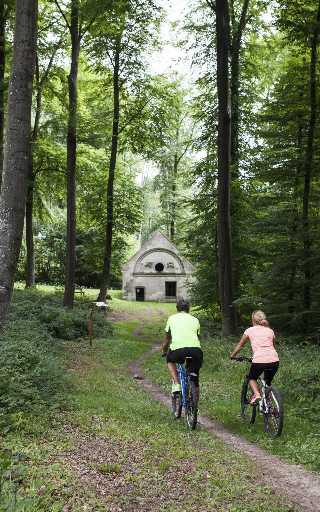 Forêt De Retz Randonnée En Vtt (2)