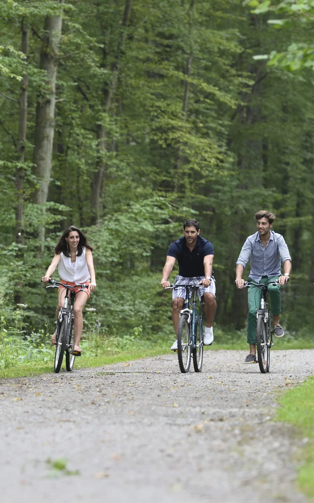 Foret-de-Vauclair-min.jpg