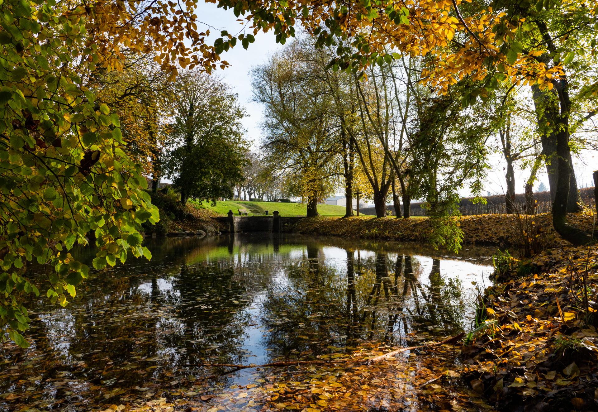 La Source De La Somme (1)